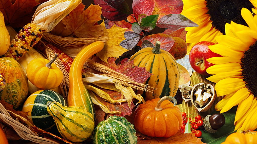 Реколта за Деня на благодарността, зеленчуци, есен, градина, ядки, тиква, кратуни, листа, ябълки, слънчогледи, жълъди, тиква, есен, Деня на благодарността, реколта HD тапет