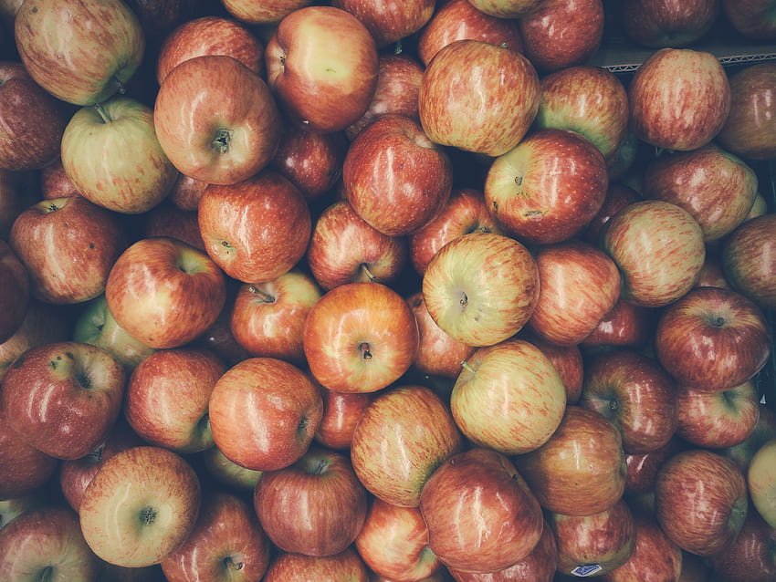 ผลไม้ อาหาร แอปเปิ้ล สุก เก็บเกี่ยว วอลล์เปเปอร์ HD