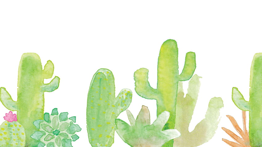 Kaktus, Kaktus-Ästhetik HD-Hintergrundbild