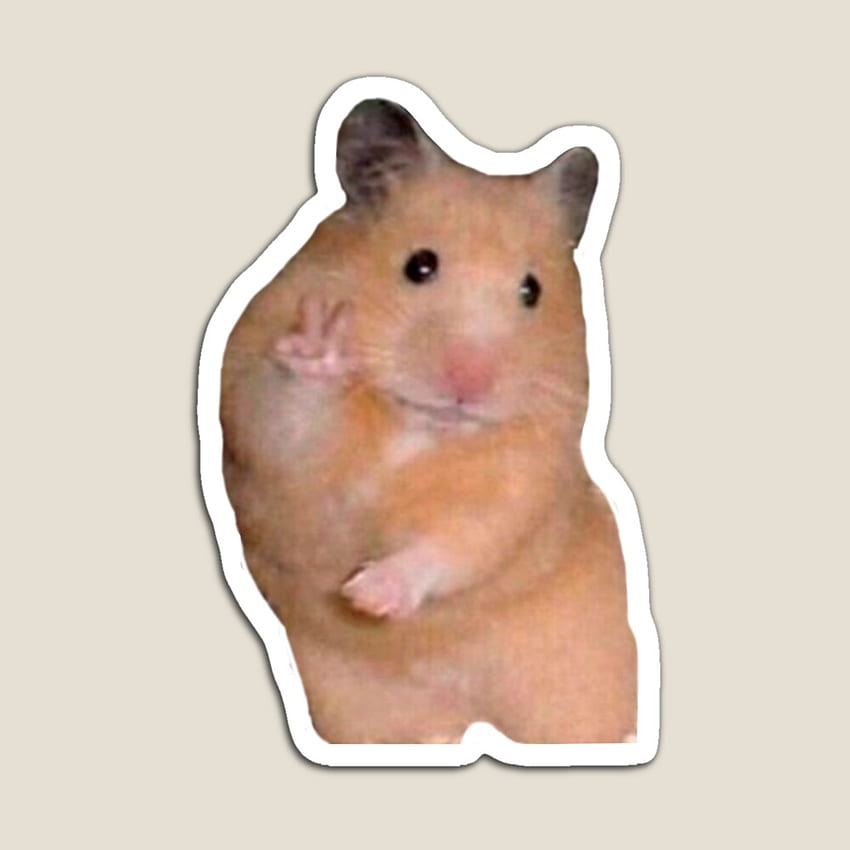 Hamster Peace Sign by Juandemas. Redbubble. Hamster, Funny hamsters, Animal lover, Hamster Meme HD phone wallpaper