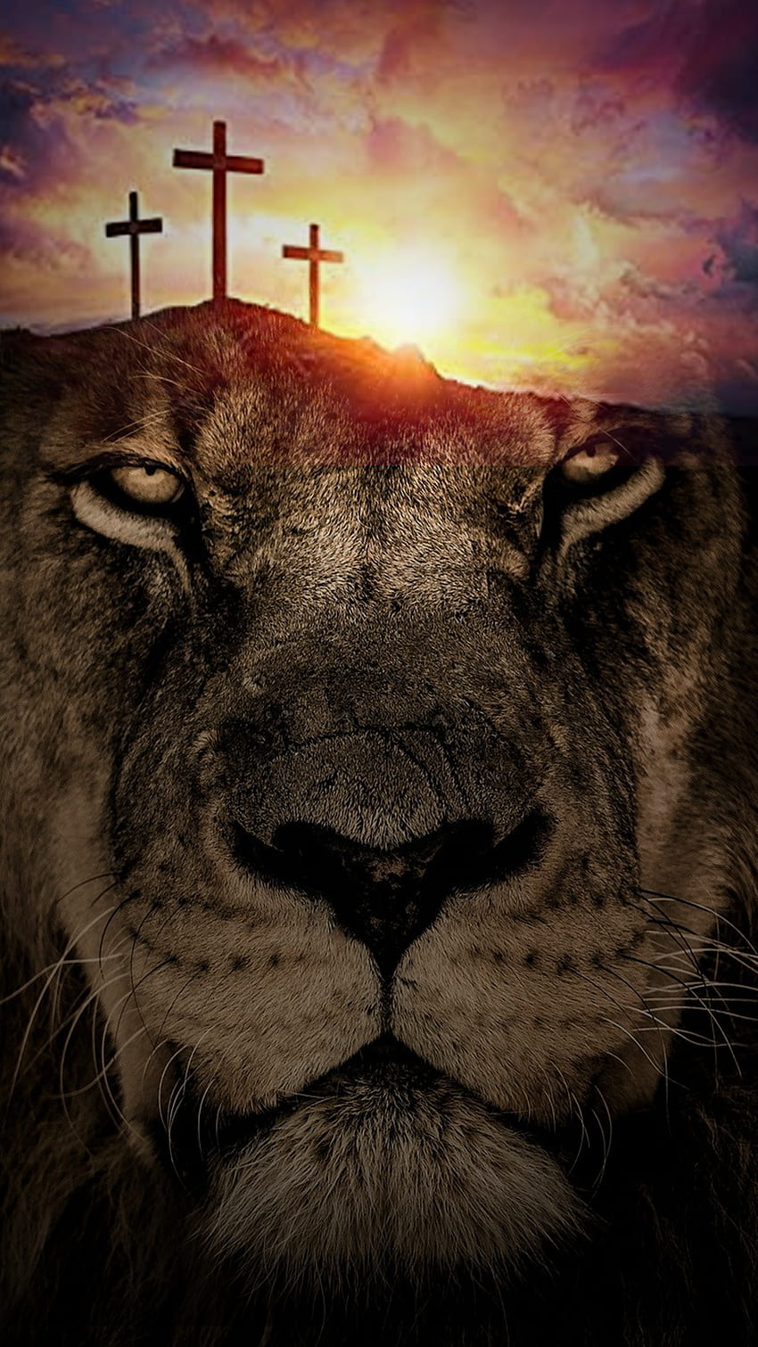 Animado lion cross HD phone wallpaper