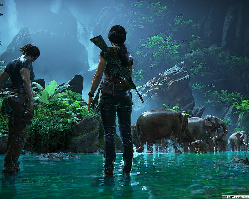 Uncharted: el legado perdido - bosque, Uncharted 5 fondo de pantalla