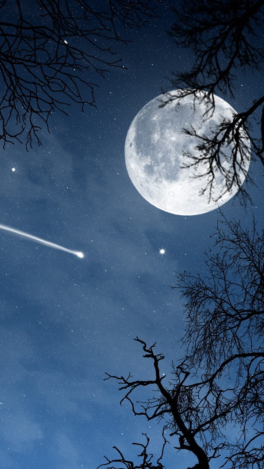 Luna, Hermosa Noche, Naturaleza fondo de pantalla del teléfono