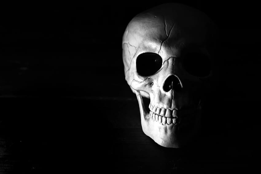 Máscara de caveira branca e preta, caveira, Esqueleto Negro papel de parede HD