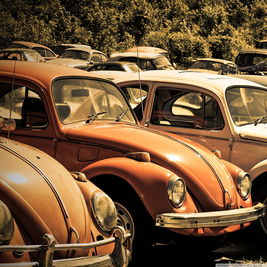 Alter Volkswagen Beetle Junkyard ❤ für Orange Classic Car HD-Handy-Hintergrundbild