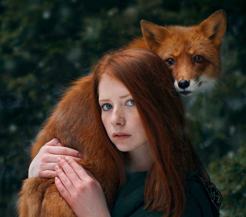 Reds, animal, model, redhead, girl, fox, woman HD wallpaper