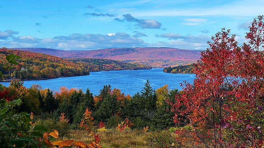 Cape Breton Island, Nova Scotia, leaves, fall, clouds, autumn, trees, colors, sky, canada, landscape HD wallpaper