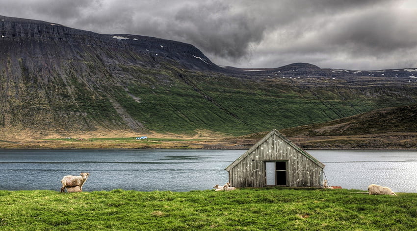 sheep grazing by a hut at a lake r, hut, sheep, clouds, meadow, r, lake, mountain HD wallpaper