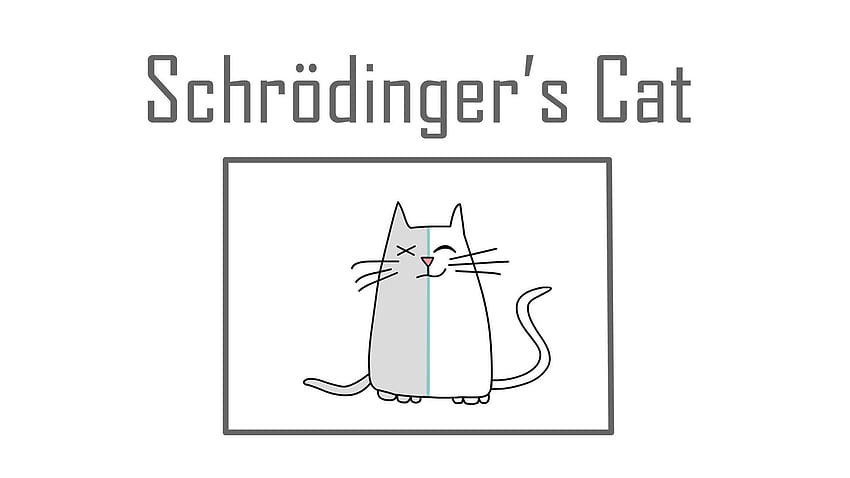 Schrödinger's cat: A thought experiment in quantum mechanics - Chad HD wallpaper