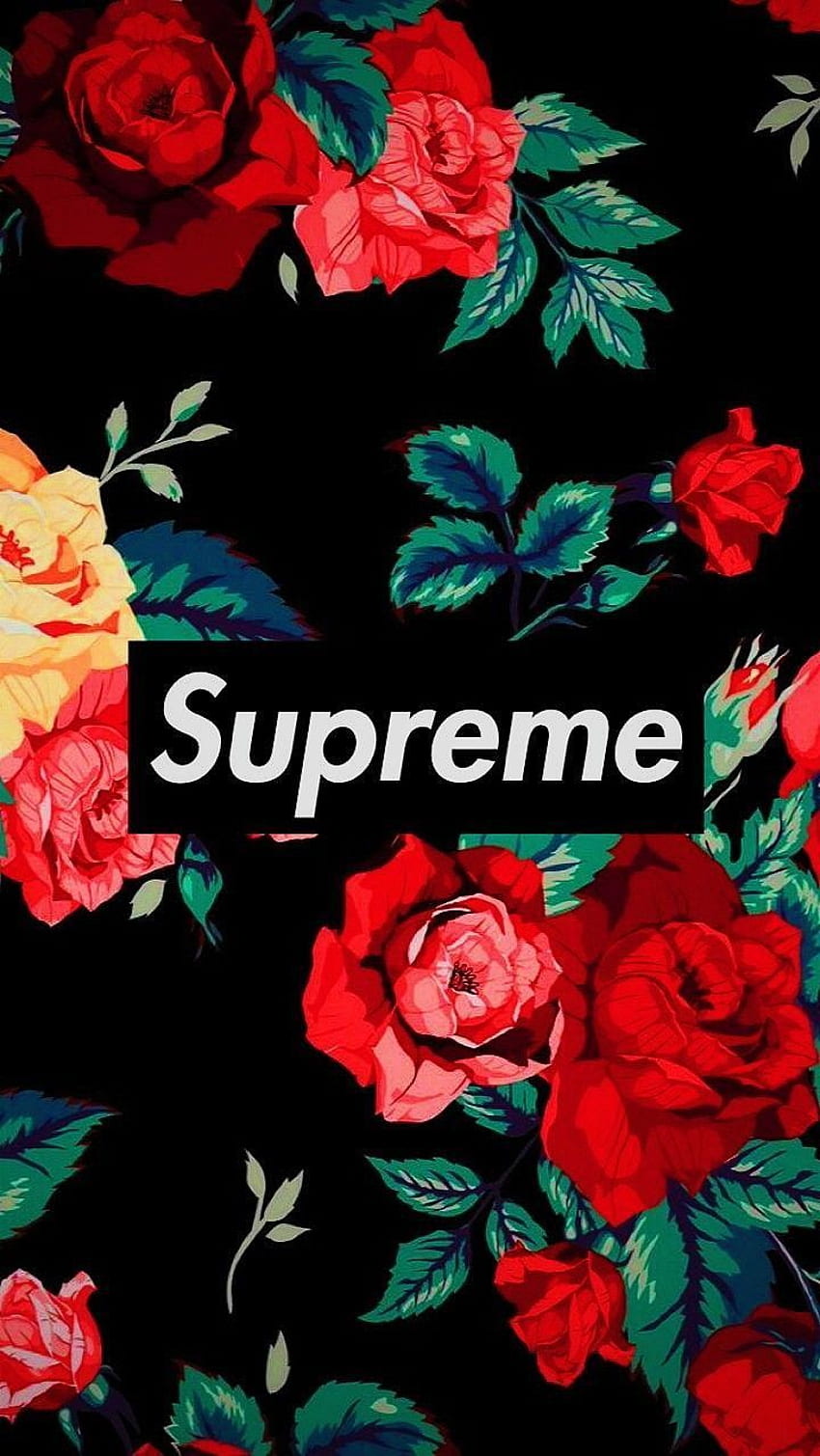 Supreme, gucci, HD phone wallpaper