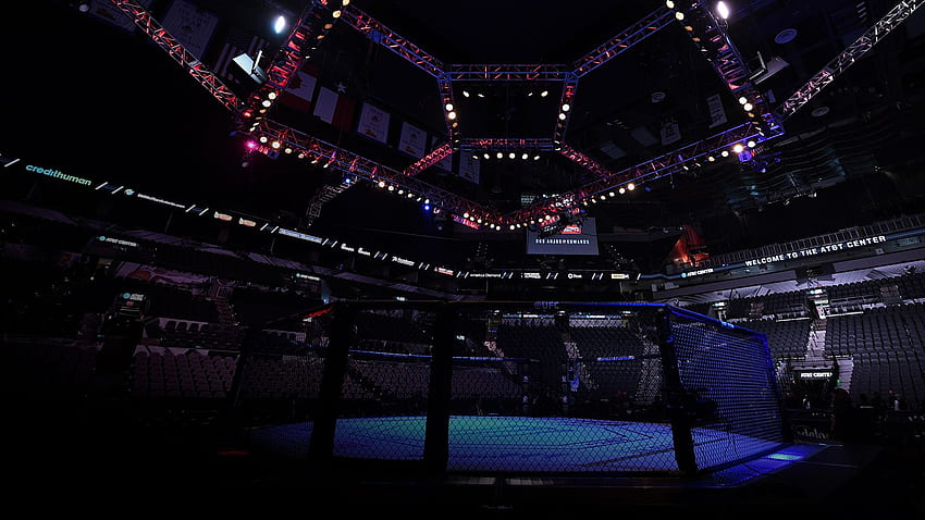 UFC ŞEREF SALONU, UFC Kafesi HD duvar kağıdı