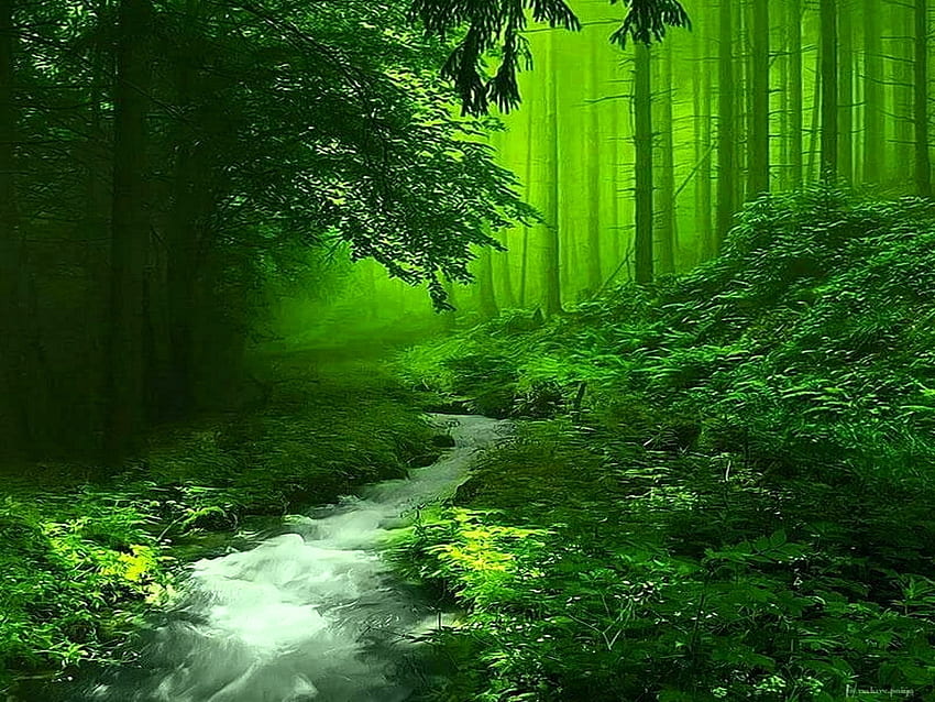 Através da floresta verde, árvores, rio, floresta, verde papel de parede HD