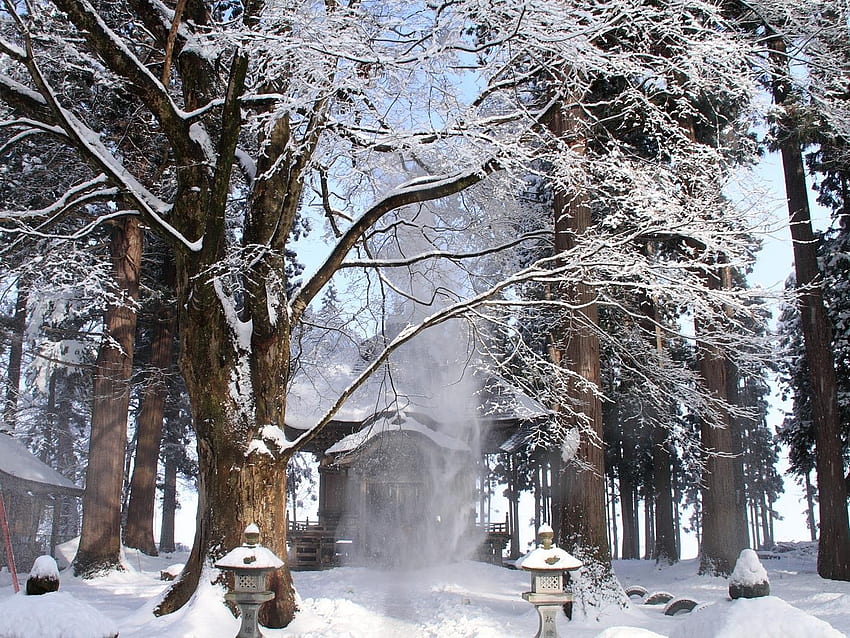 Winter: Japanese Winter Culture Structure Building Trees Asia Snow HD ...