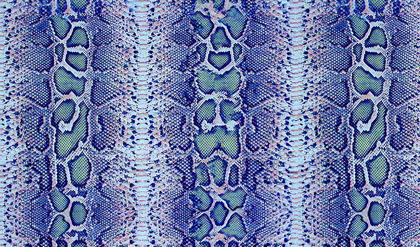 Feather , Animal print , , Snake Texture HD wallpaper
