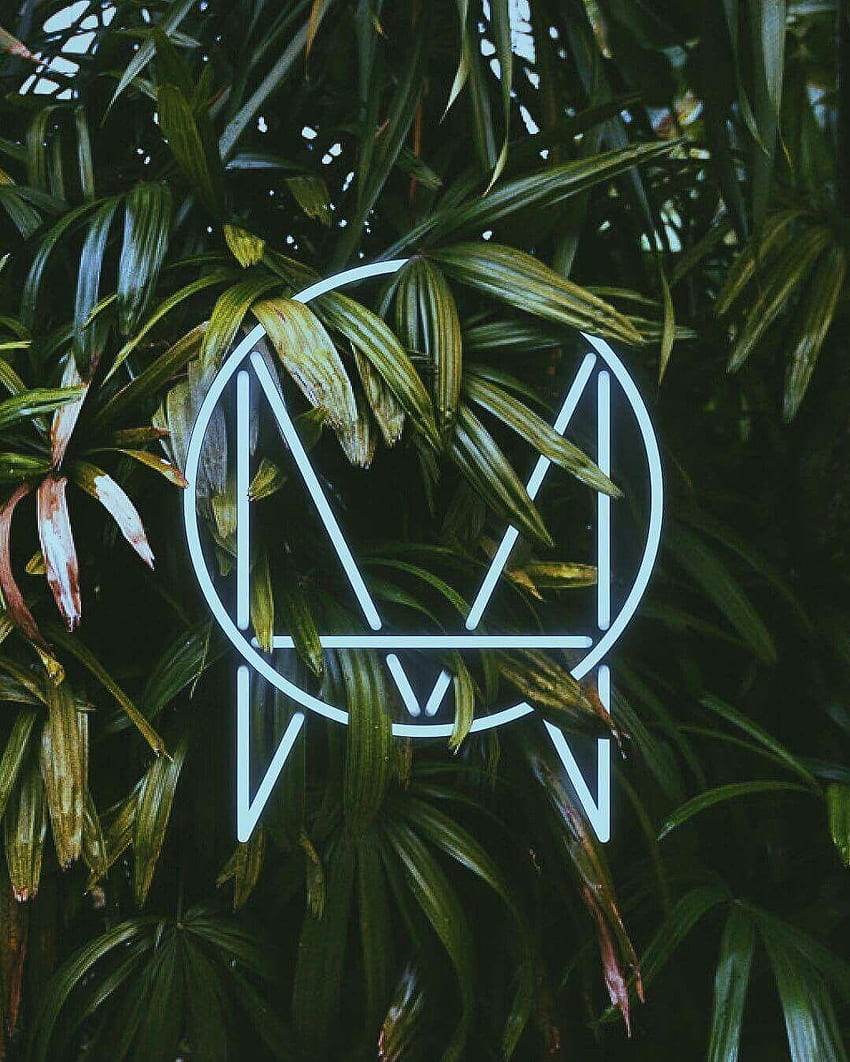 Owsla Logo HD phone wallpaper | Pxfuel