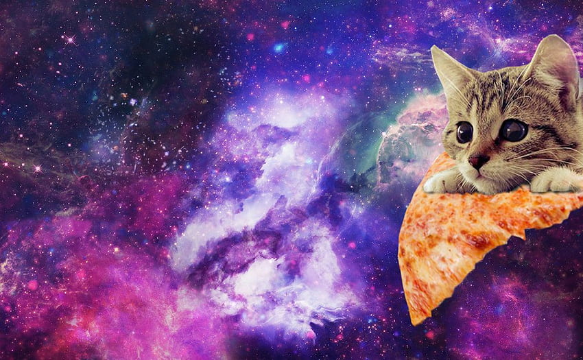 Space Cat, Universe Cat HD wallpaper