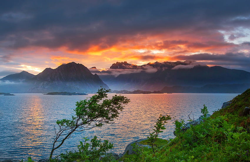 3:00 A.M. Light, Lofoten Islands, sea, Norway, coast, beautiful, cliffs, Artic, clouds, trees, midnight sun, sky, mountains, islands HD wallpaper