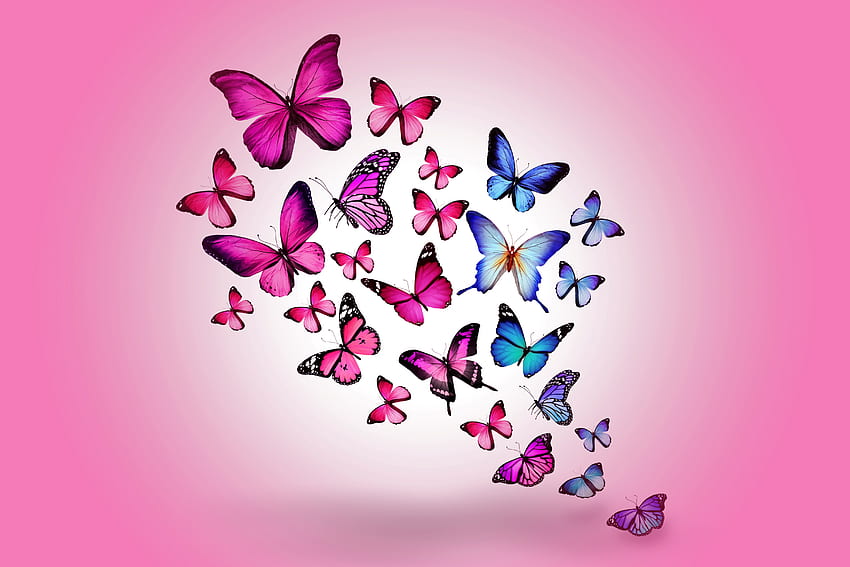 Butterflies, Background, Pink, , , Multicolored, , Drawing, Flight HD wallpaper