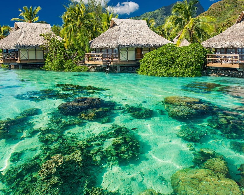 isla tropical, vacaciones, vacaciones, relajante, palmeras, 1280x1024 tropical fondo de pantalla
