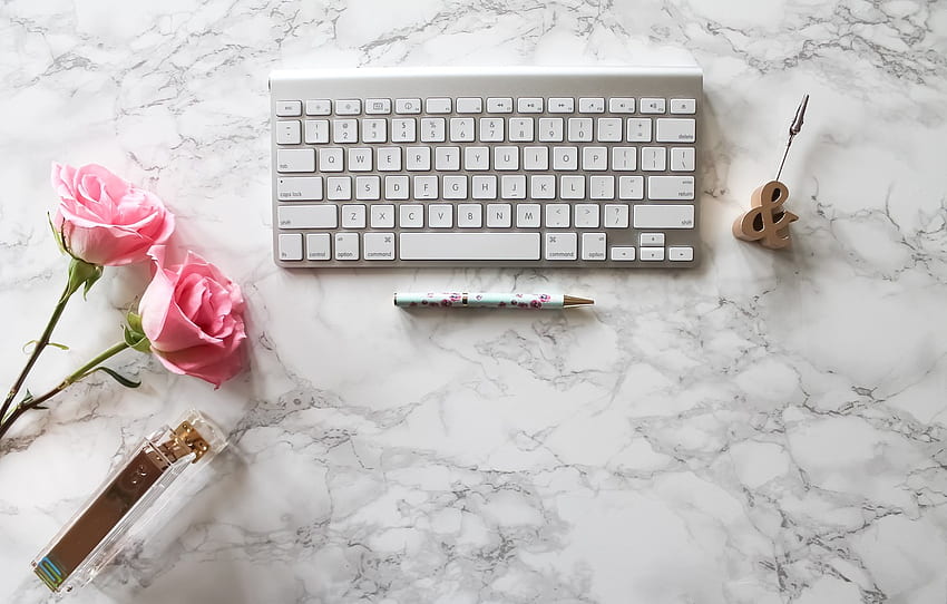 roses, handle, pink, flowers, roses, keyboard, marble for , section минимализм, Minimalist Marble HD wallpaper