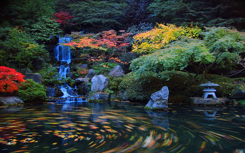 Japanese Garden, Japanese Koi Pond HD wallpaper