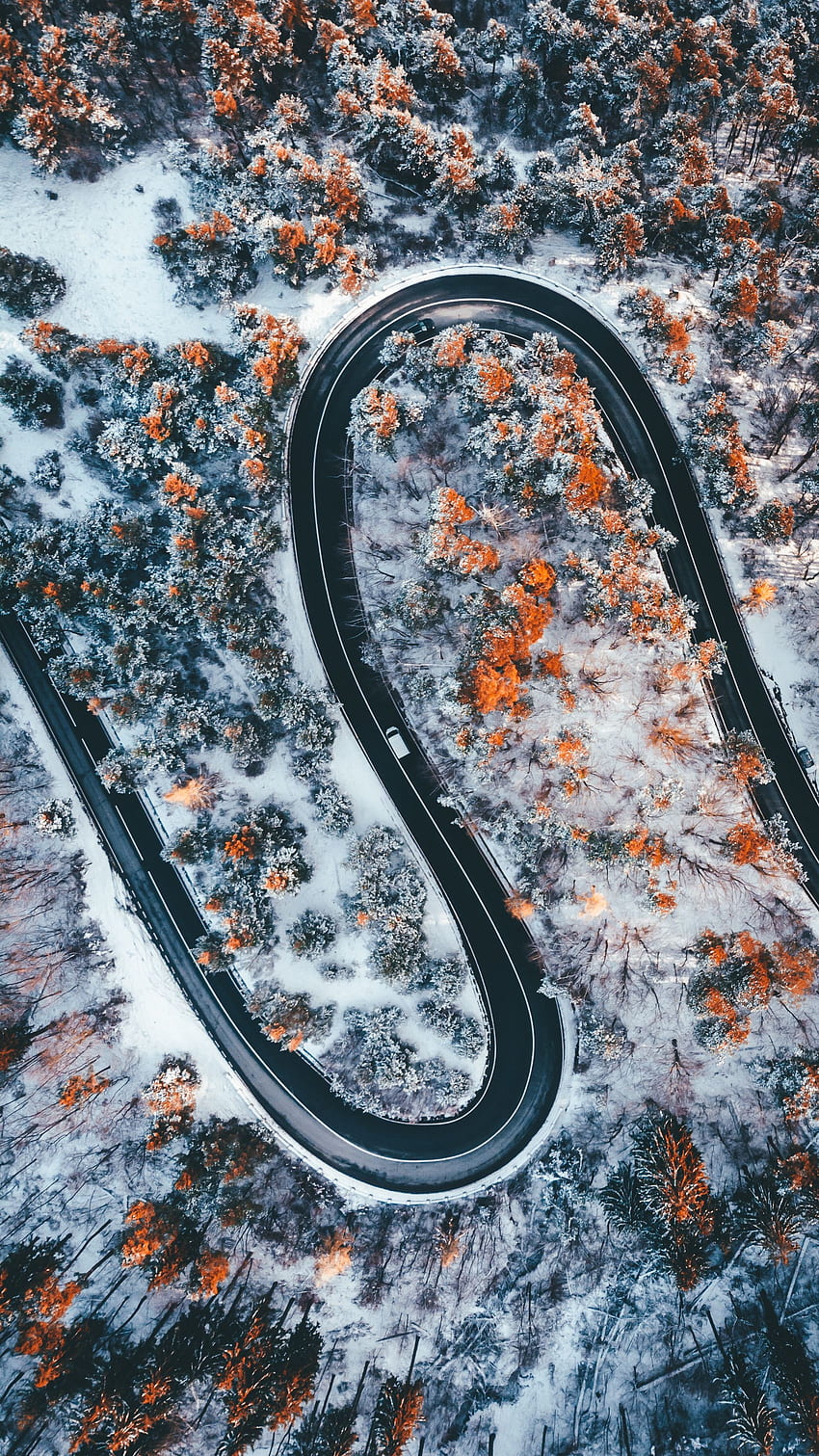Nature, Trees, Snow, View From Above, Road, Panorama, Winding, Sinuous, Zigzag HD phone wallpaper