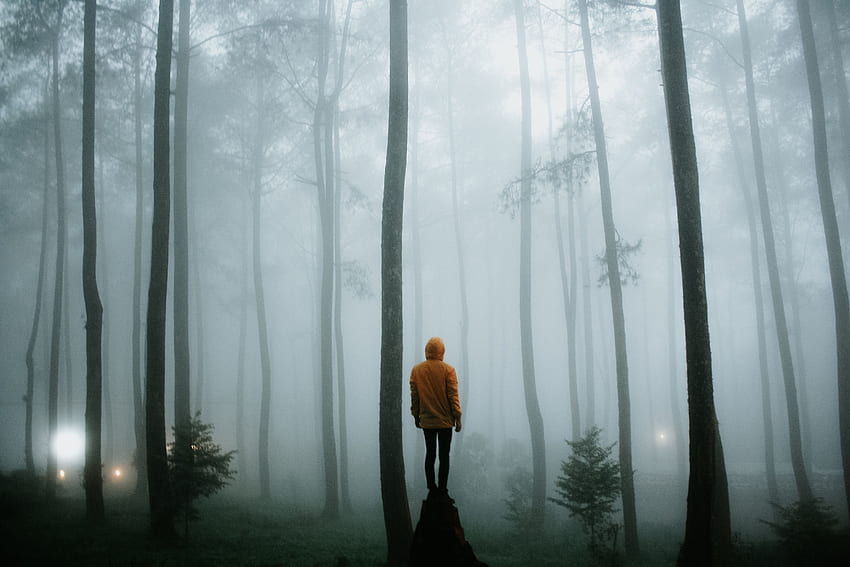 Natura, drzewa, las, mgła, człowiek, osoba, samotność Tapeta HD