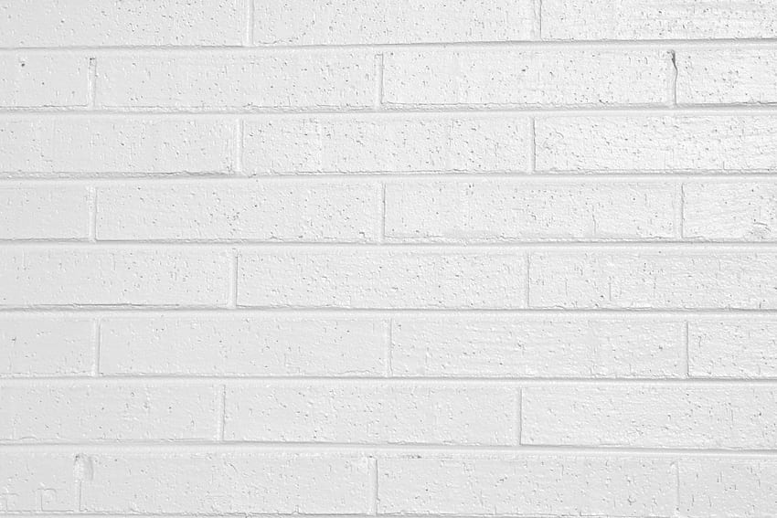 塗られたレンガの壁 - レンガの壁、審美的な白 高画質の壁紙