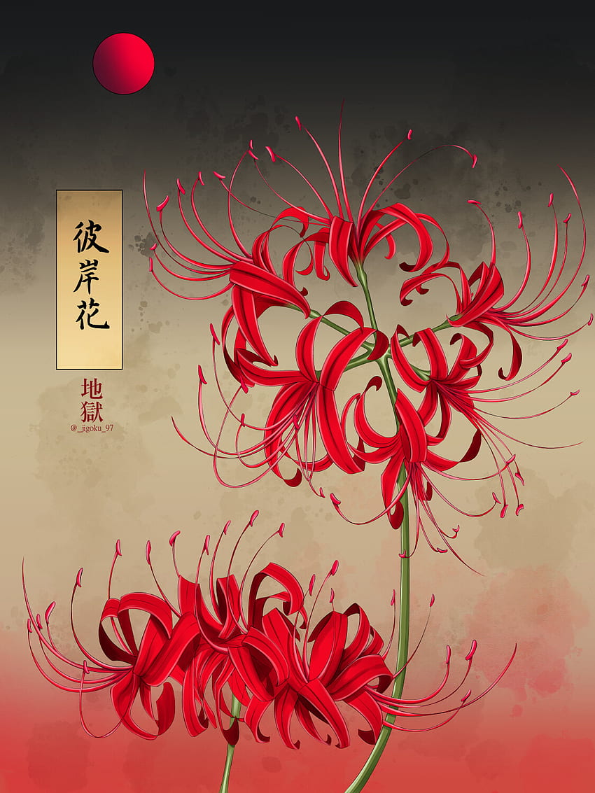 Anime Red Spider Lily  Higanbana HD phone wallpaper  Pxfuel
