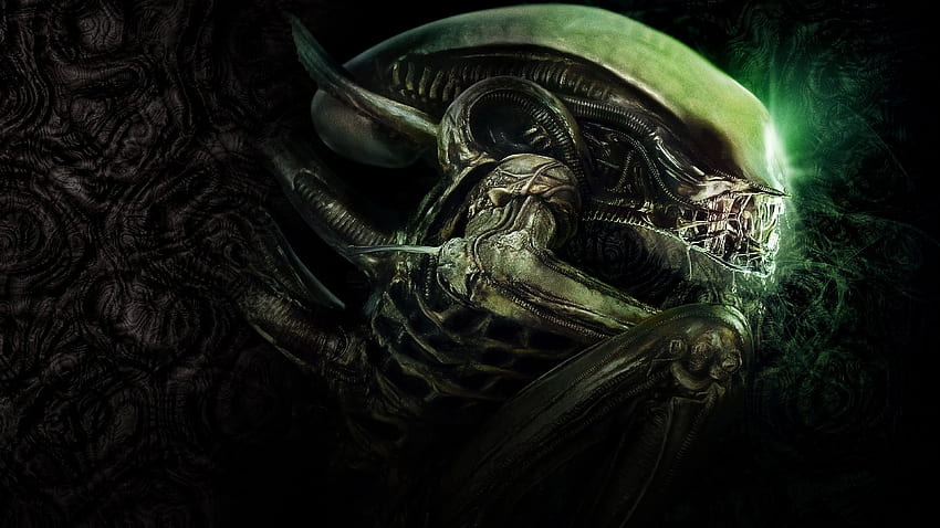 Alien Movie Aliens Movie Ridley Scott Space Horror Science Fiction Green - Resolution: HD wallpaper