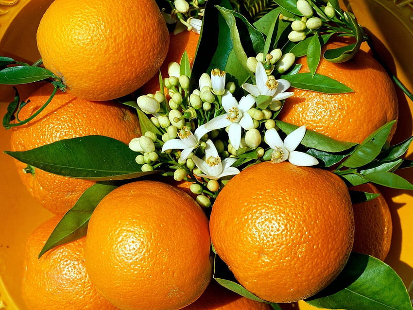 Oranges, Flowers, Food, Grass HD wallpaper