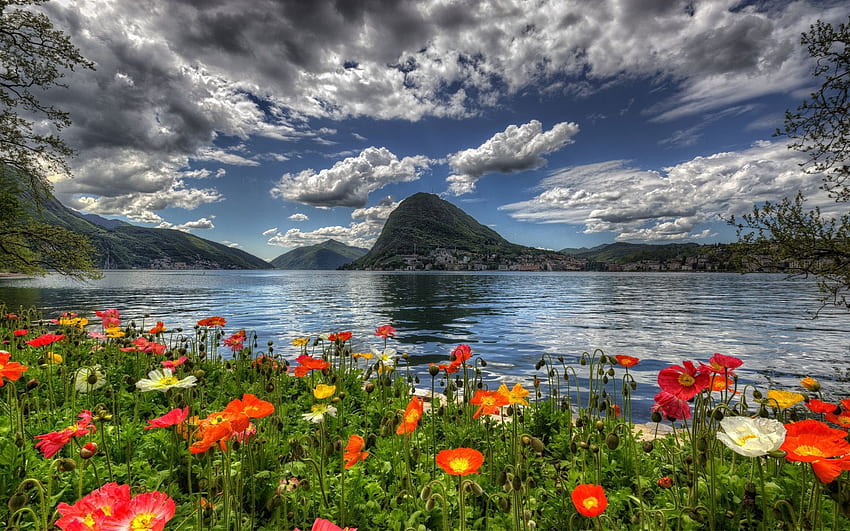 Wiosenne jezioro w Szwajcarii, kwiaty, chmury, kraj, niebo, kwiaty, góry Tapeta HD