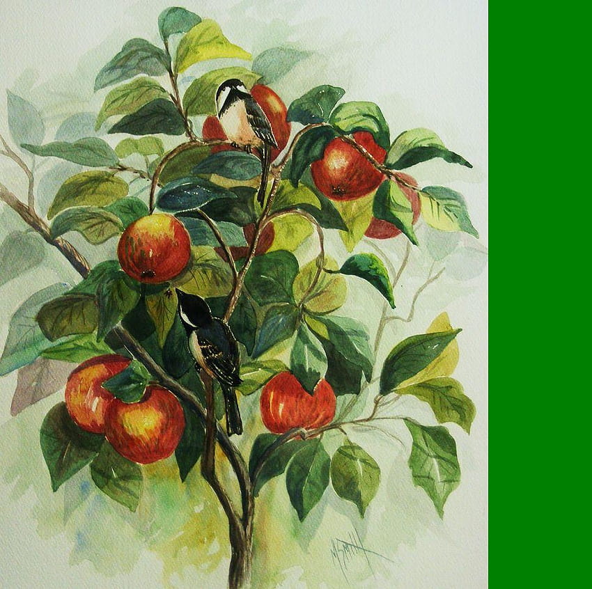 My little chickadee de Marilyn Smith, manzana, mero, pintura, pictura, rosu, copac, pássaro, arte, frunze, leag, verde, árvore, marilyn smith, pajaro, rojo, verde, vermelho, maçã, pasari papel de parede HD