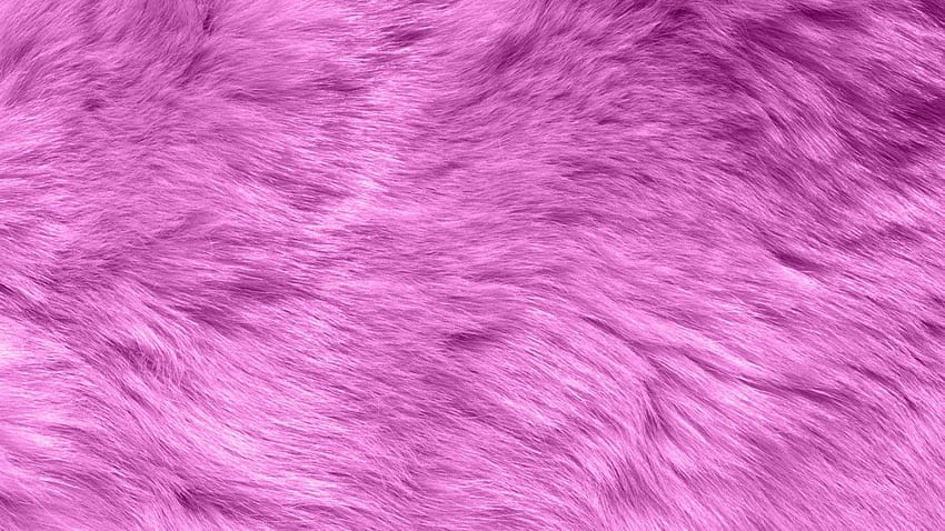 Fur, Pink Fur HD wallpaper