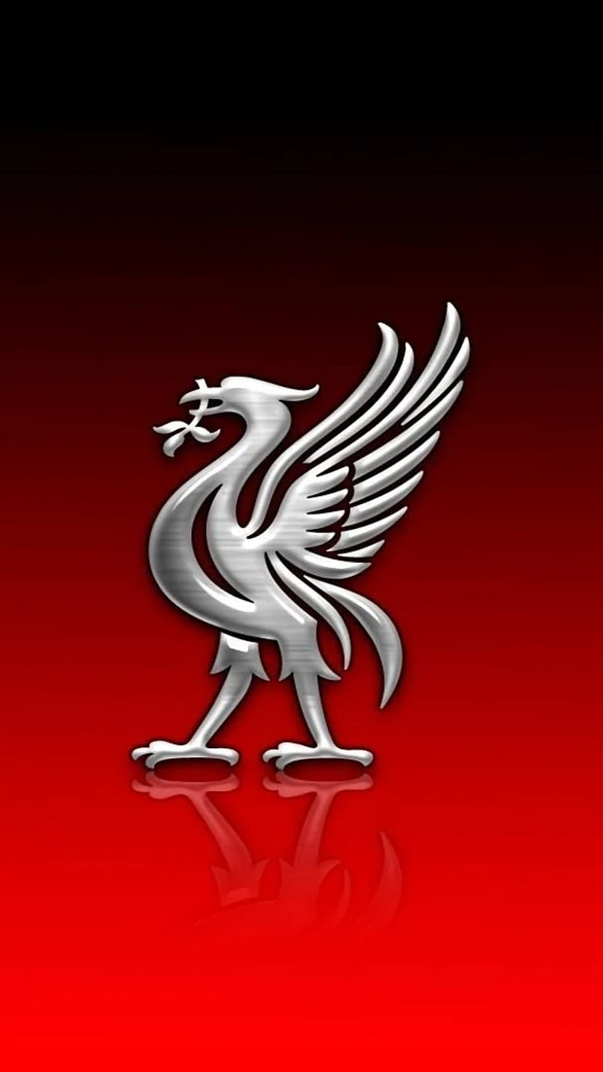 Liverpool, logotipo do pássaro do fígado, pássaro do fígado, logotipo Papel de parede de celular HD