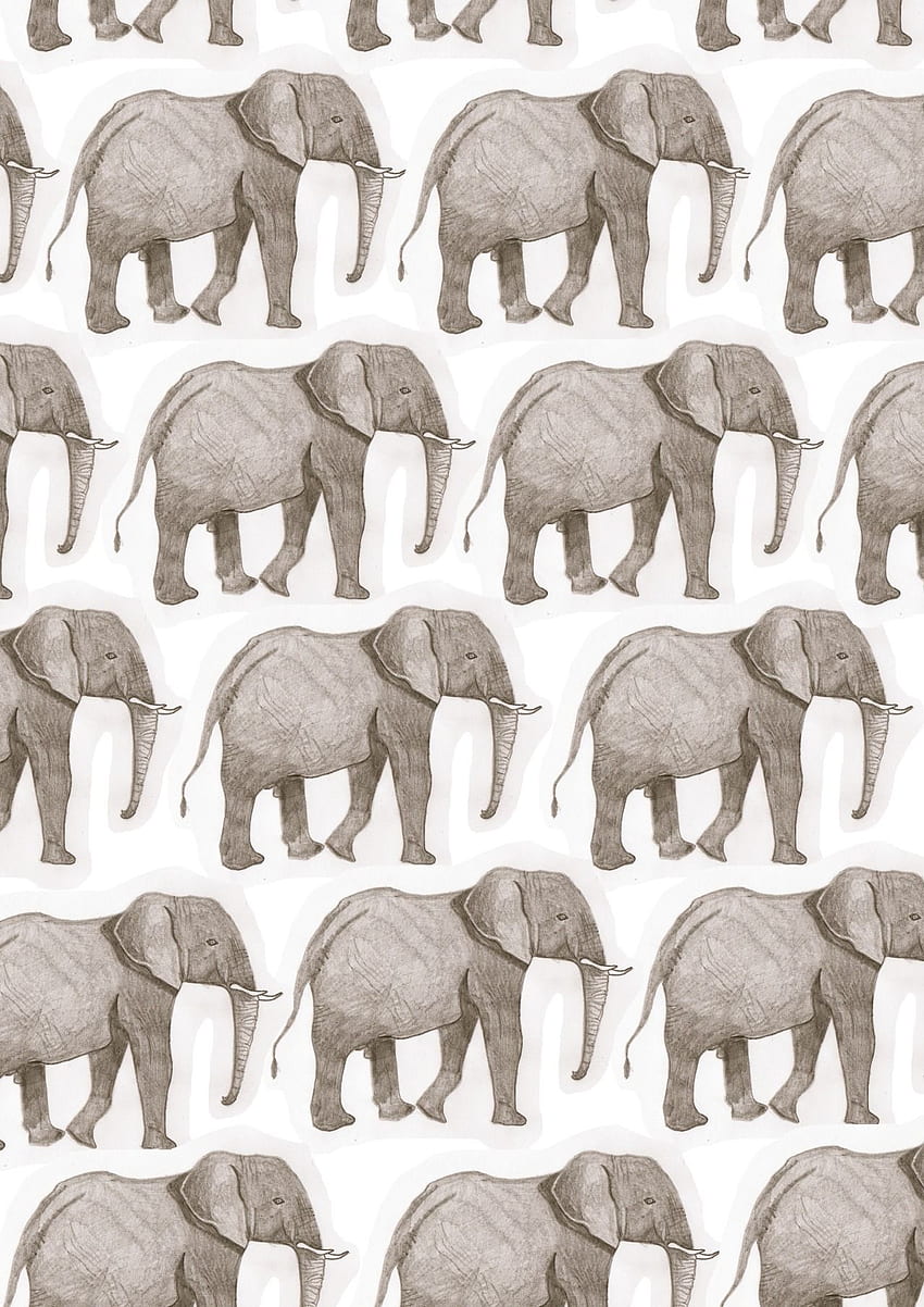 doodoodloo: I used an illustration I did in year 12 to make elephant, Hipster Elephant HD phone wallpaper