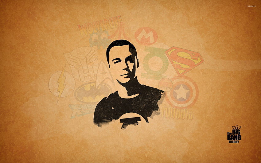 Sheldon Cooper from The Big Bang Theory - TV Show, Sheldon Cooper Bazinga HD wallpaper