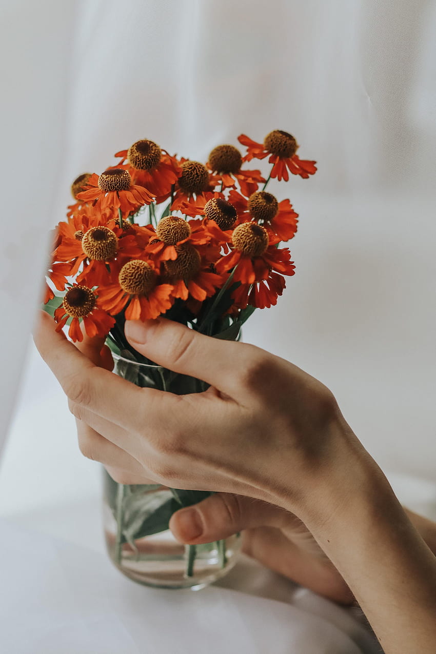 Flowers, Hand, Bouquet, Cloth, Fingers HD phone wallpaper | Pxfuel