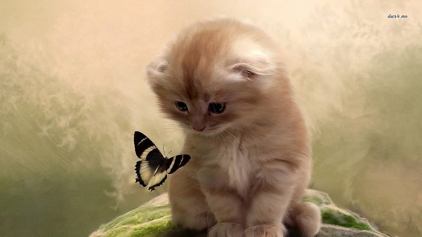 kitty and butterfly, kitty, butterfly, animals, cats, digital art HD wallpaper