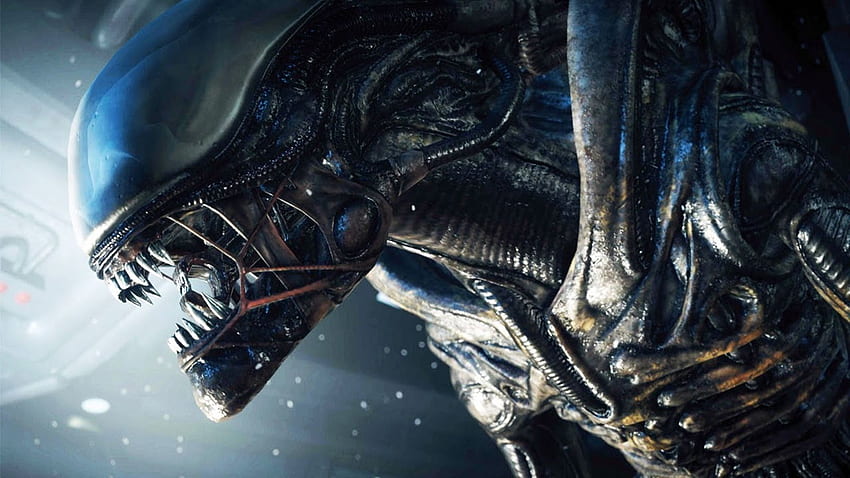 Alien HD wallpaper | Pxfuel