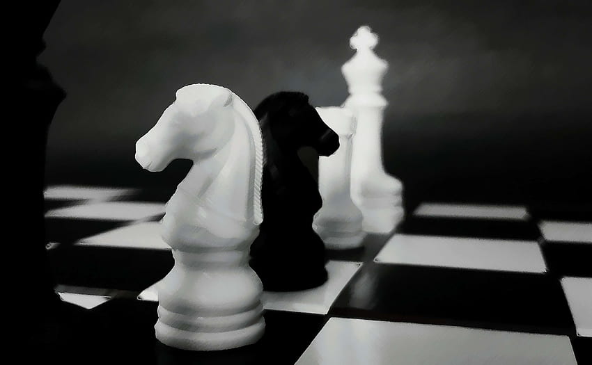 and backgronds, Chess Horse HD wallpaper