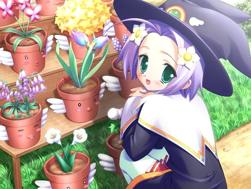 Witch, potted plants, flowers HD wallpaper
