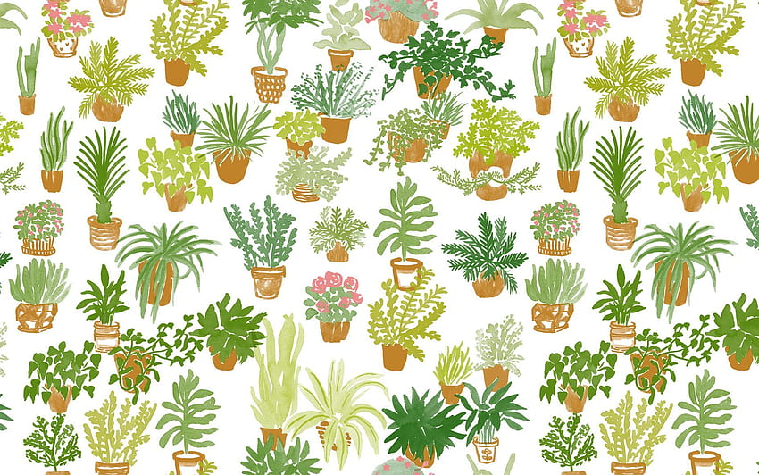 Background Plants, Succulent Aesthetic HD wallpaper