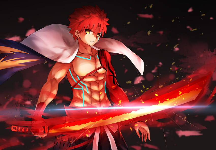 Resolución de la gran orden del destino de Sengo Muramasa Shirou Emiya ...