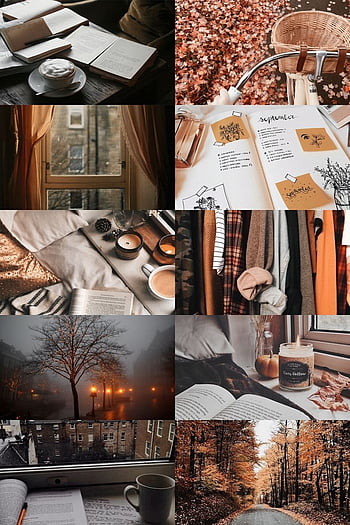 Tea, books, and autumn weather is all we need ♡. Autumn graphy, Autumn ...