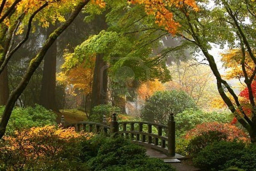 Inne: Japoński Ogród Japoński Most Mgła Ścieżka Drzewa Jesień Foliage Tapeta HD