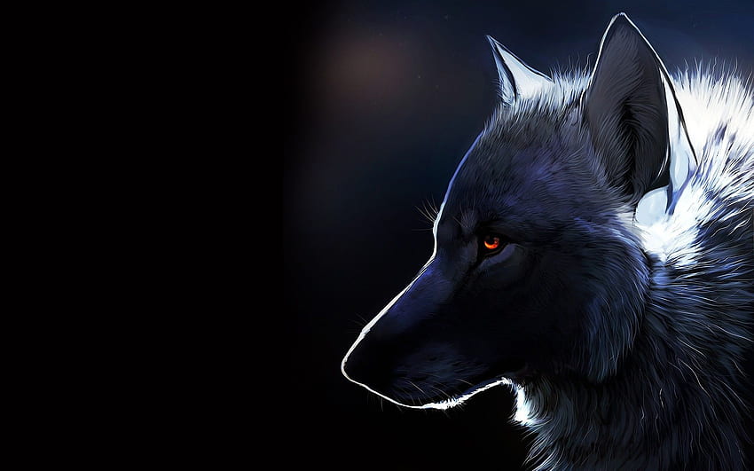 De lobo. hermoso lobo fondo de pantalla | Pxfuel