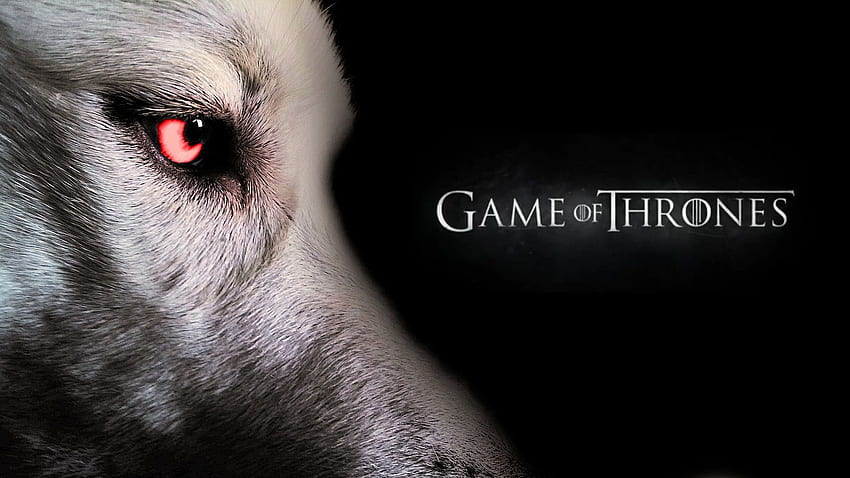 Got a badass of my dog with my phone this morning! : pics, Game of Thrones Ghost HD wallpaper