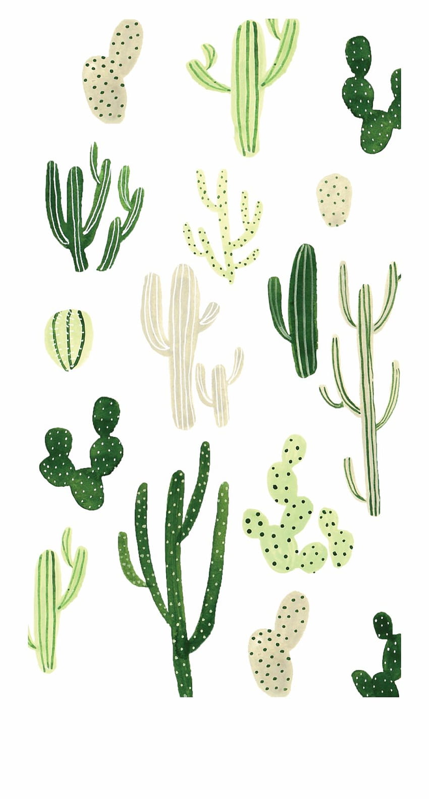 cactus wallpaper tumblr