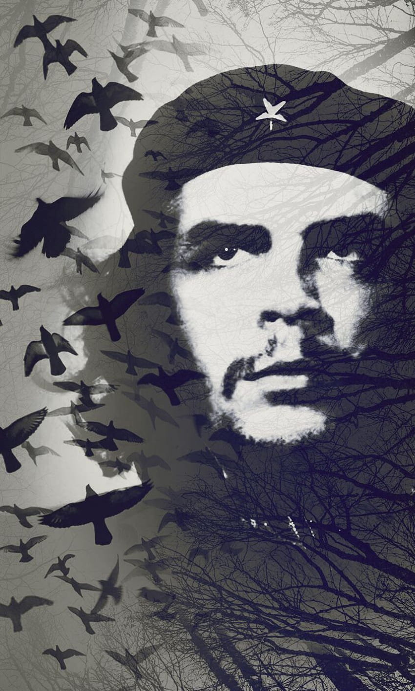 Che Guevara. Resim, Tablolar, Duvar kağıtları, Che Guevara iPhone Fond d'écran de téléphone HD